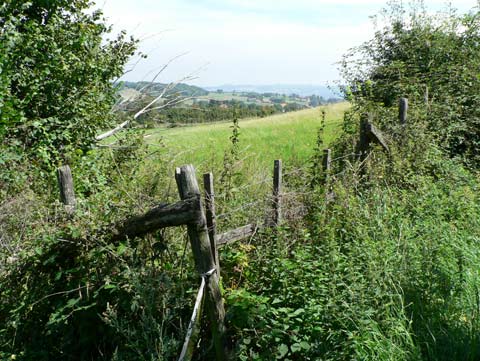 campagne isère.jpg
